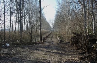 riserva naturale della Monaca