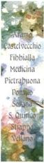 LOCANDINA