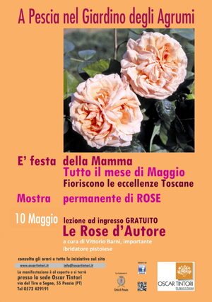 manifesto dell'evento